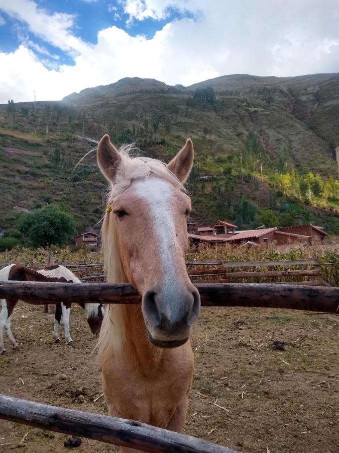 Acomodação com café da manhã  Colibri Wasi Pisac